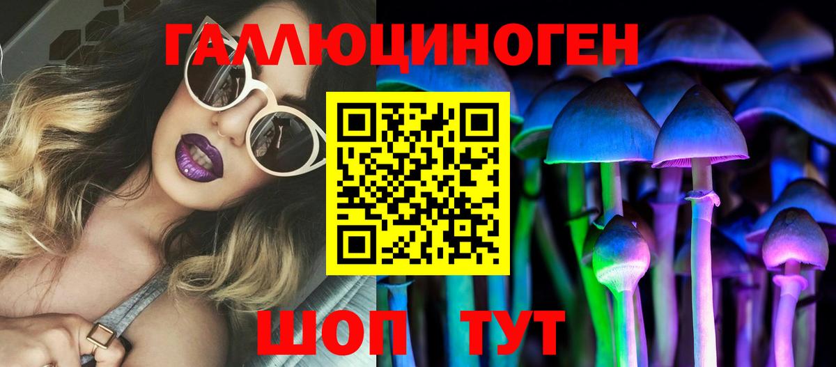Галлюциногенные грибы Psilocybe  Вход с VPN  Луховицы 